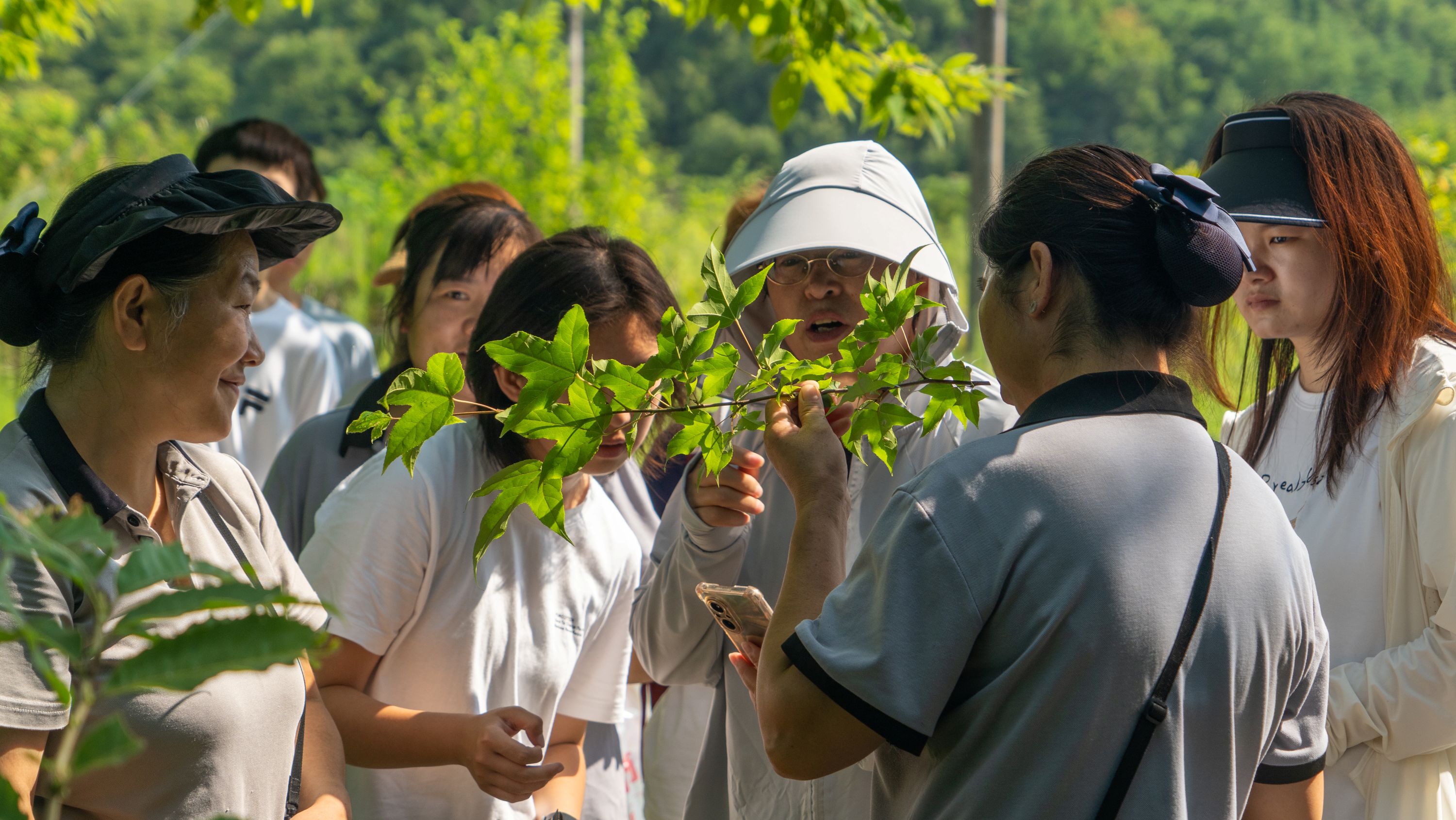 实地采集植物.jpg